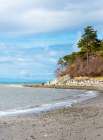 USA, Blaine, Washington State. Bright winter day gulls forage Birch Bay shoreline. Art Print